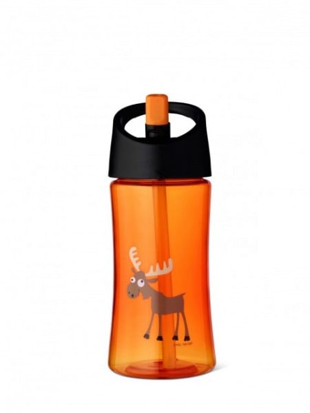 Sticla cu pai Carl Oscar - Orange